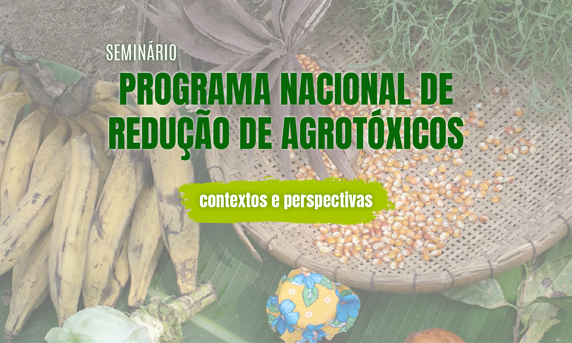 Evento vai discutir o Programa Nacional de Redução de Agrotóxicos e também sugerir uma minuta de decreto para estabelecimento do PRONARA