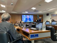 Coalizão verde: comissão de meio ambiente do Senado debate a Amazônia