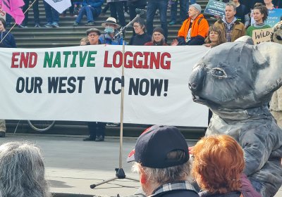 Koala puppetry at Naarm/Melbourne Rally for the Forests, August 12