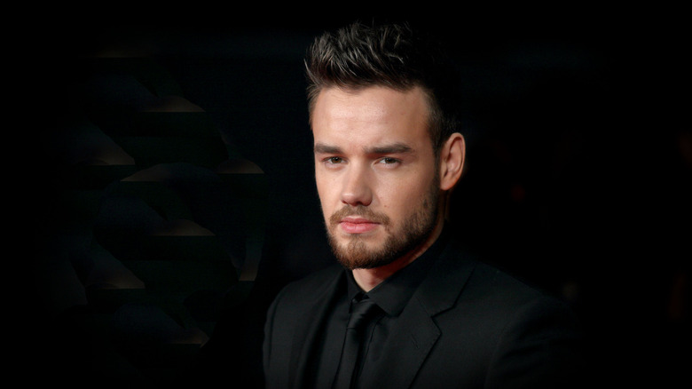 Liam Payne posing in front of a dark background