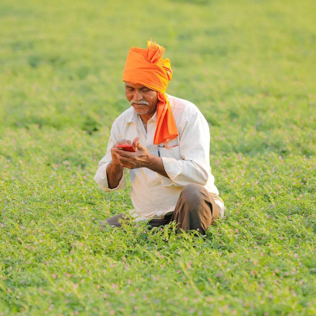 A picture of an individual in a bright orange headwrap, crouching in a field, looking at a smartphone within an orange case