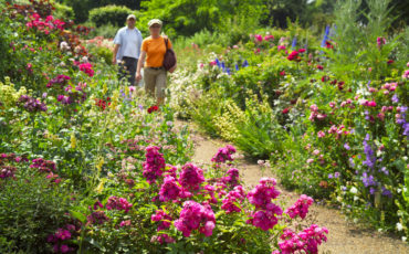 London Royal Parks: Couple enjoying the flowerbeds in London's Hyde Park on a sunny day. Photo Credit: ©Visit London Images.