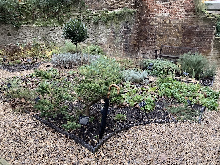 The Barber-Surgeons' Physic Garden. Photo Credit: © Richard Jones.