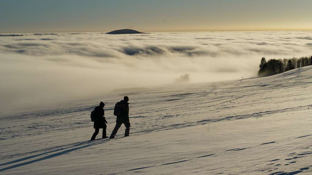 Winterwunderland Rhön: Fünf lohnenswerte Wanderungen bei Schnee und Kälte