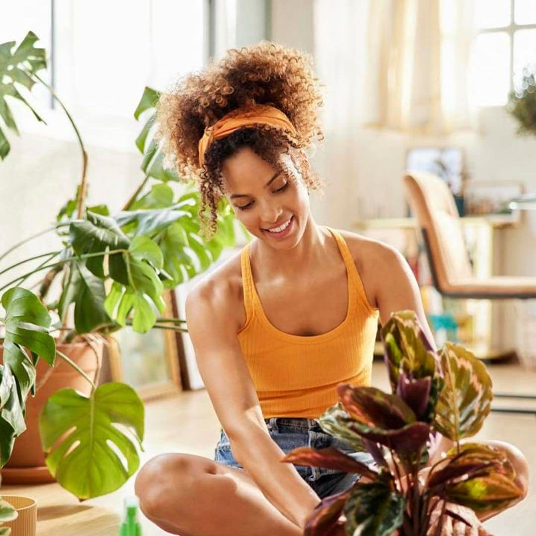 The positive energy of plants