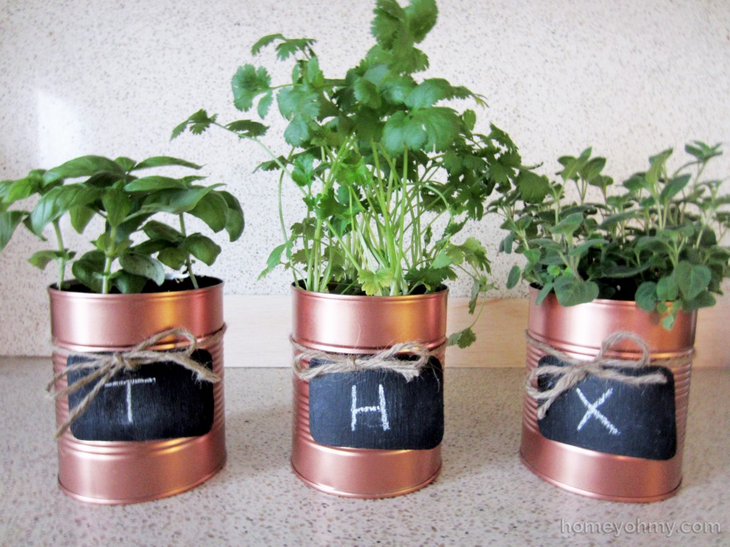 Tin Can Planters thx