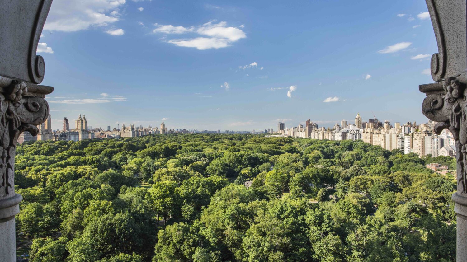 central park-ritz-carlton new york city