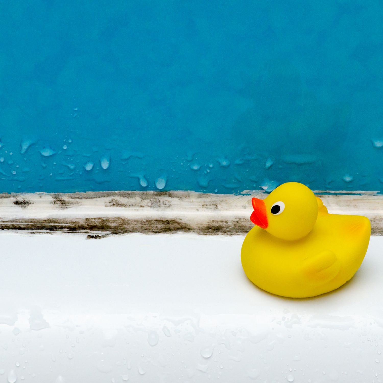 replace old caulk image of yellow rubber duck along edge of tub shower with moldy caulk with blue tile