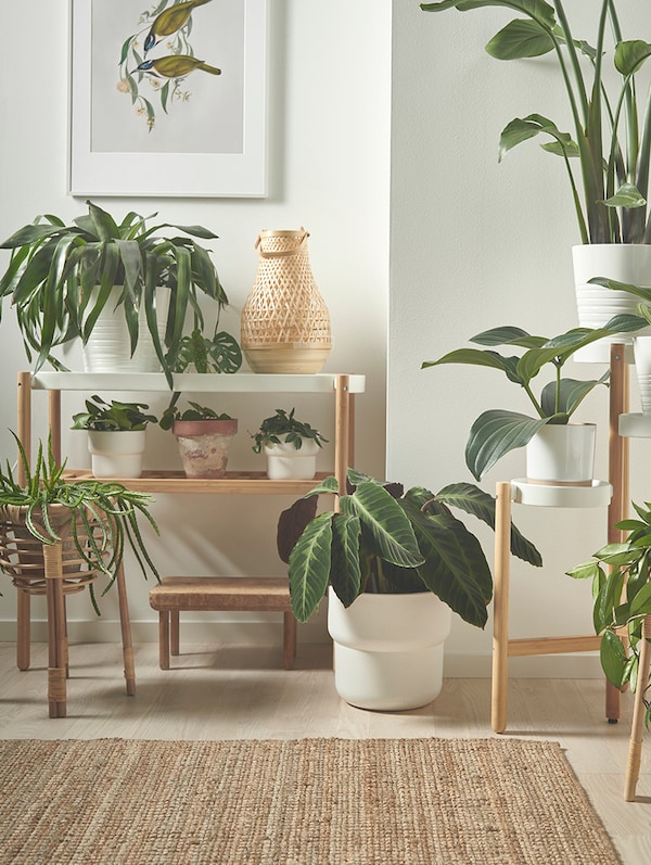 Interior decorating tips using indoor plant decor - IKEA