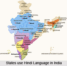 Hindi Language