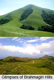 Brahmagiri Hills, Kodagu, Kerala