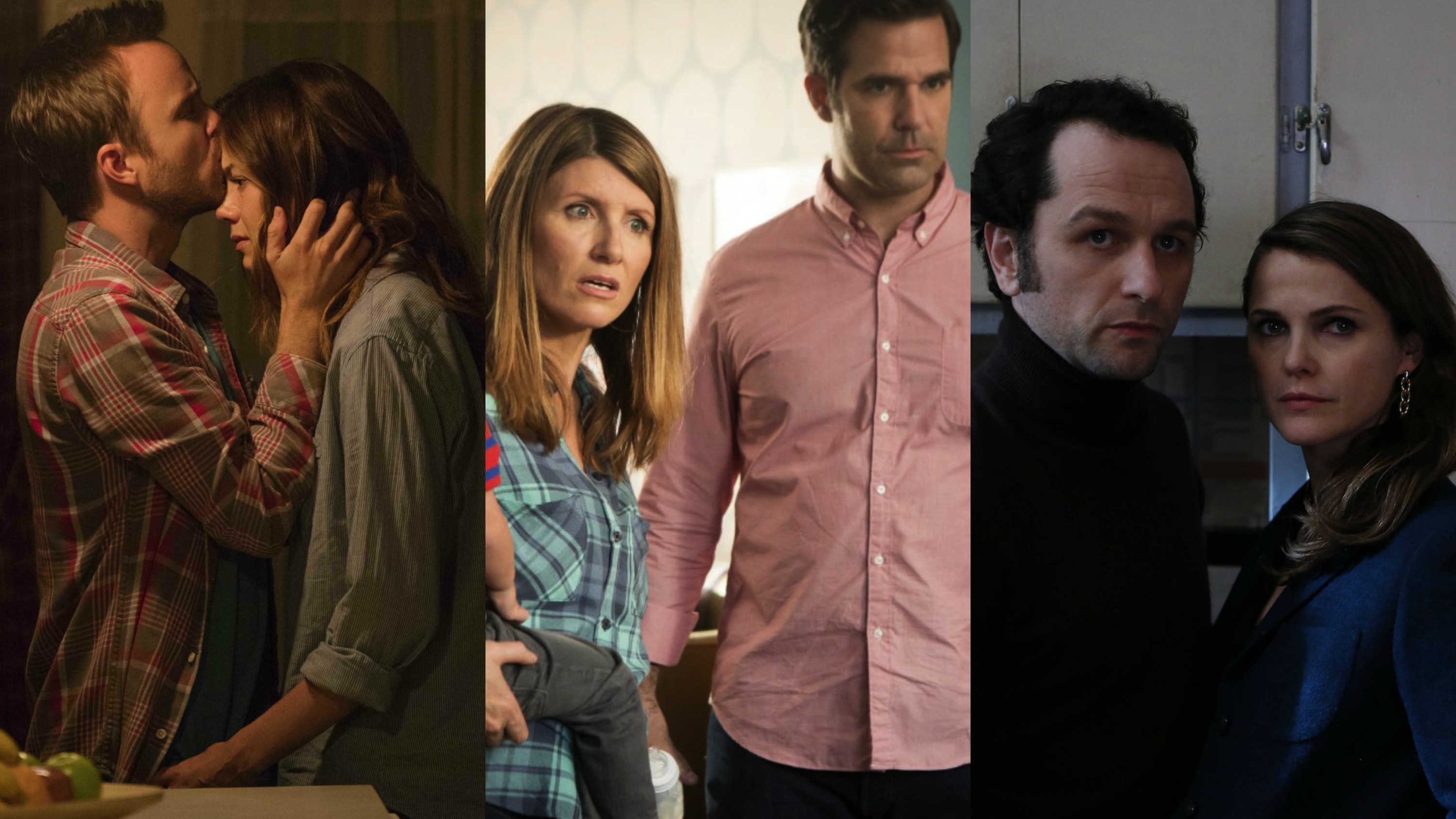 2016 Canceled & Retired TV: A Tribute to Togetherness, Rectify, More