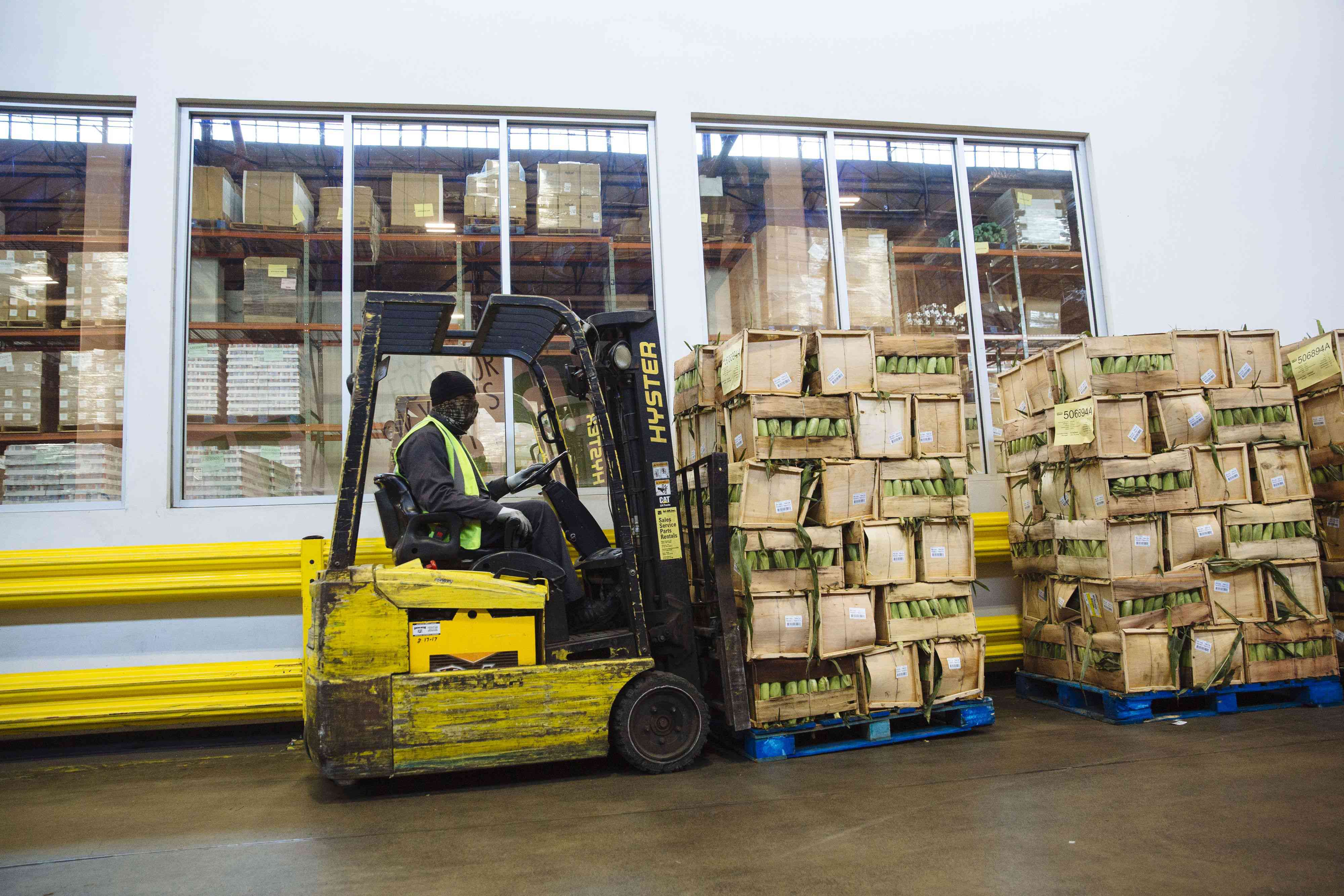 A worker moving boxes of bananas with a forklift