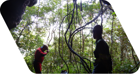 Fotografia da silhueta de dois homens com capacete em um lugar com diversas árvores.