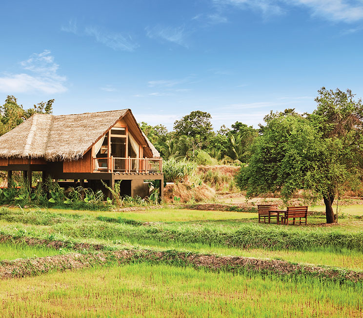 Sigiriya Hotels