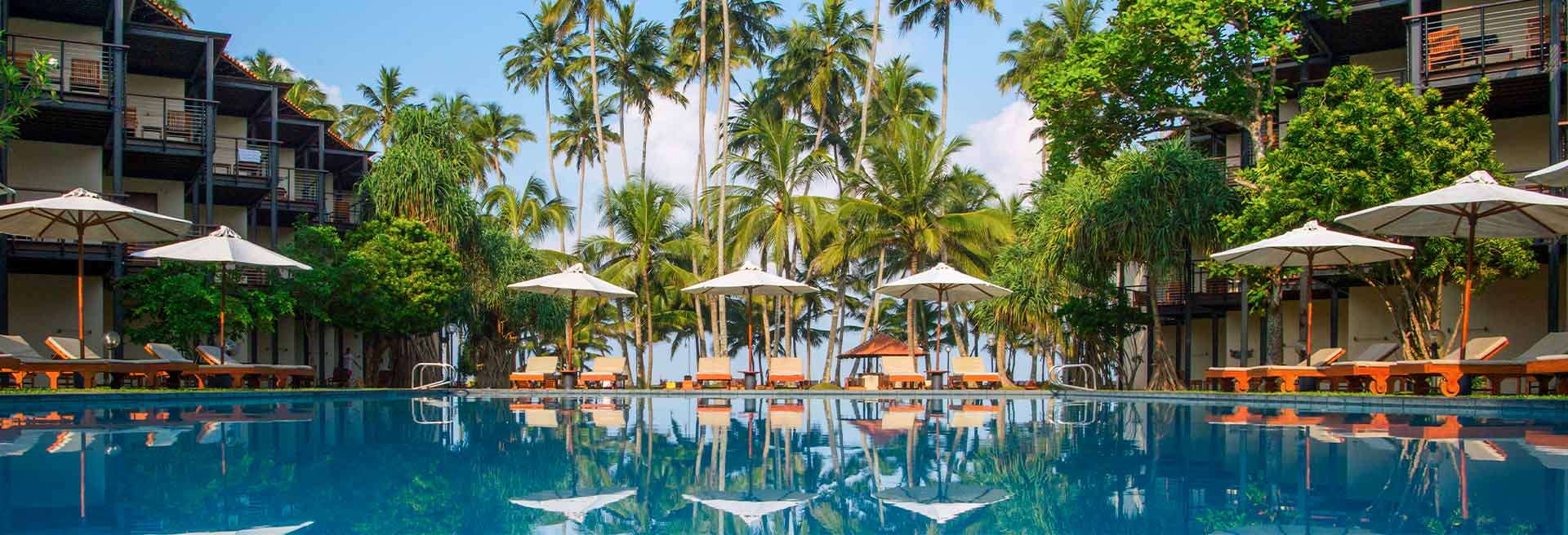 Swimming pool surrounded by palm trees