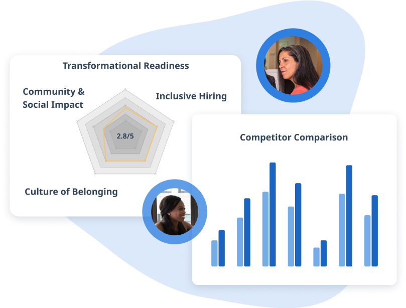 assessments and benchmarking visual