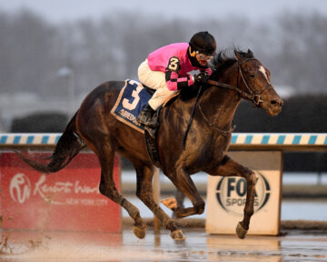 Deterministic wins at Aqueduct