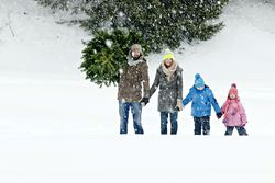 Family With Tree