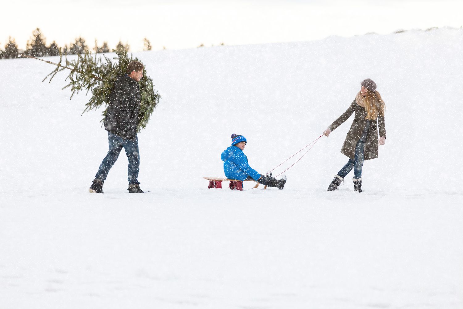 Family carries the perfect Christmas tree in snowy landscape