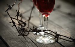 Rusty barbed wire and glasses with red wine.