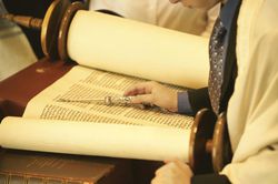 Man reading Torah scrolls