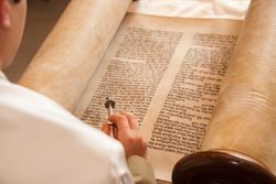 Boy reading from Torah scroll