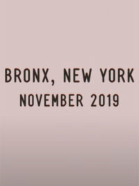 affiche du film Bronx, New York, Novembre 2019