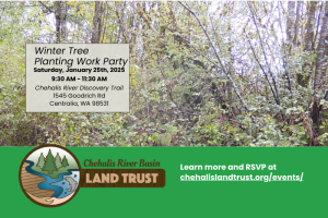 Chehalis Land Trust Tree Planting Work Party @ Chehalis River Discovery Trail