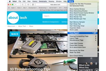 Safari Debug menu