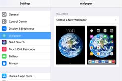 Screenshot of Wallpaper > Choose a New Wallpaper setting on iPad