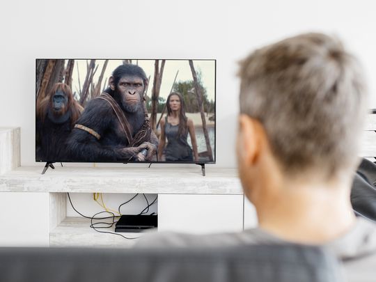 A man watching Kingdom of the Planet of the Apes on a TV in his lounge room.