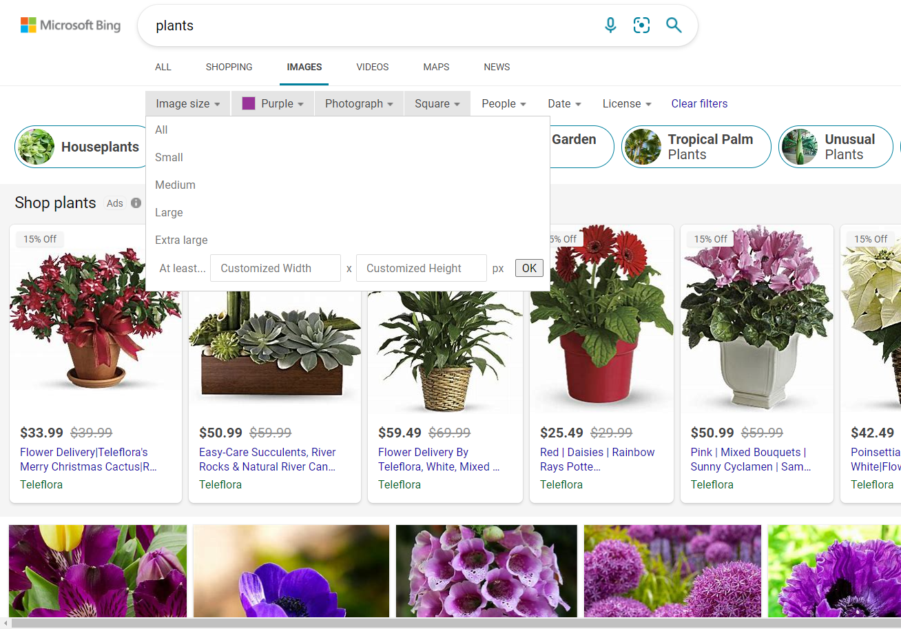 Bing advanced search options for images