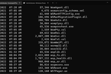 Windows Terminal in Windows 11