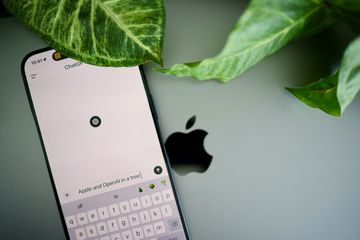 An iPhone on top of a MacBook showing a chatGPT screen, as green leaves look on.