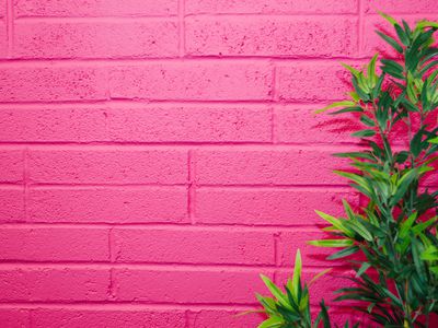 A fuchsia-painted wall.