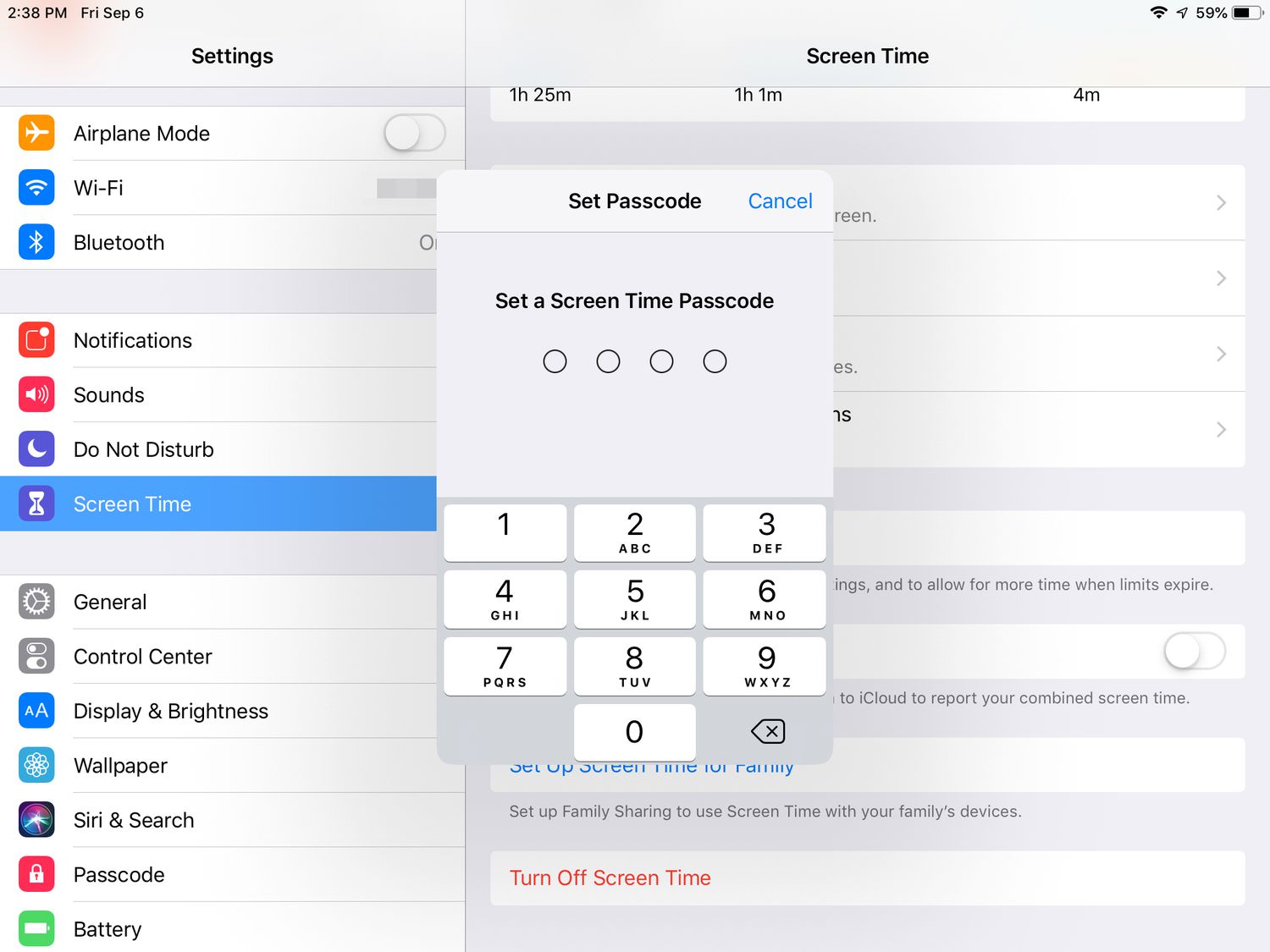 Settings a restrictions passcode screen on iPad