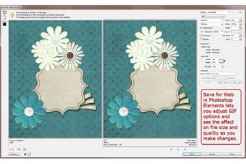 Photoshop Elements Save for Web