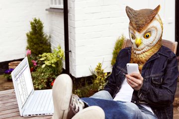 Person in Owl Mask Using Smartphone