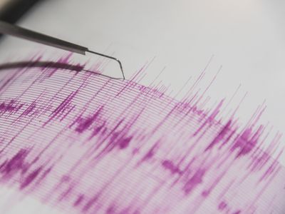 A seismometer at work