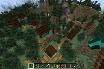 A village in Minecraft.