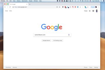 Chrome web browser on macOS Desktop showing Google site with "cashe"lifewire.com" in the search field