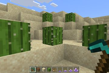 Mining a Cactus in Minecraft