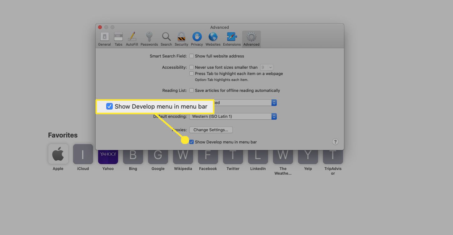 Place a check next to Show Develop menu in menu bar, and then exit out of Preferences.