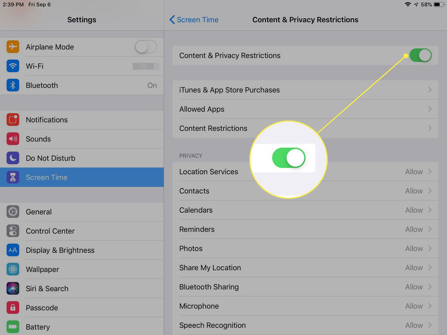 A screenshot of iPad Content & Privacy Restrictions with the toggle switch highlighted