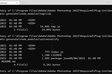 Command Prompt results in Windows 11 Terminal