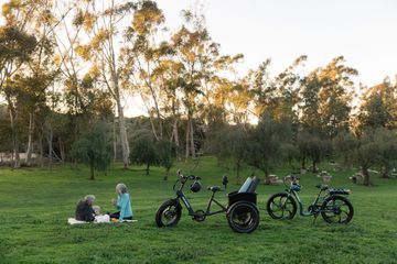 Fat Tire Trike from Pedego on grass near a picnicking couple