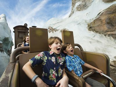 Two boys on a Disney ride