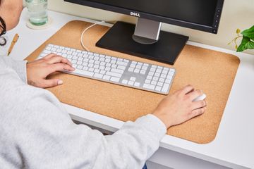 A person using a mouse and keyboard.