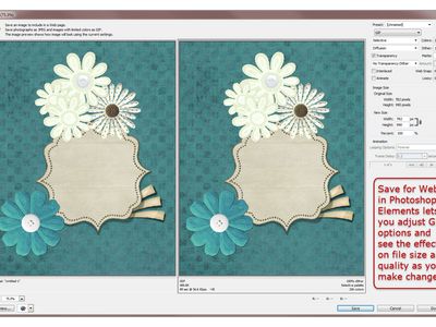 Photoshop Elements Save for Web